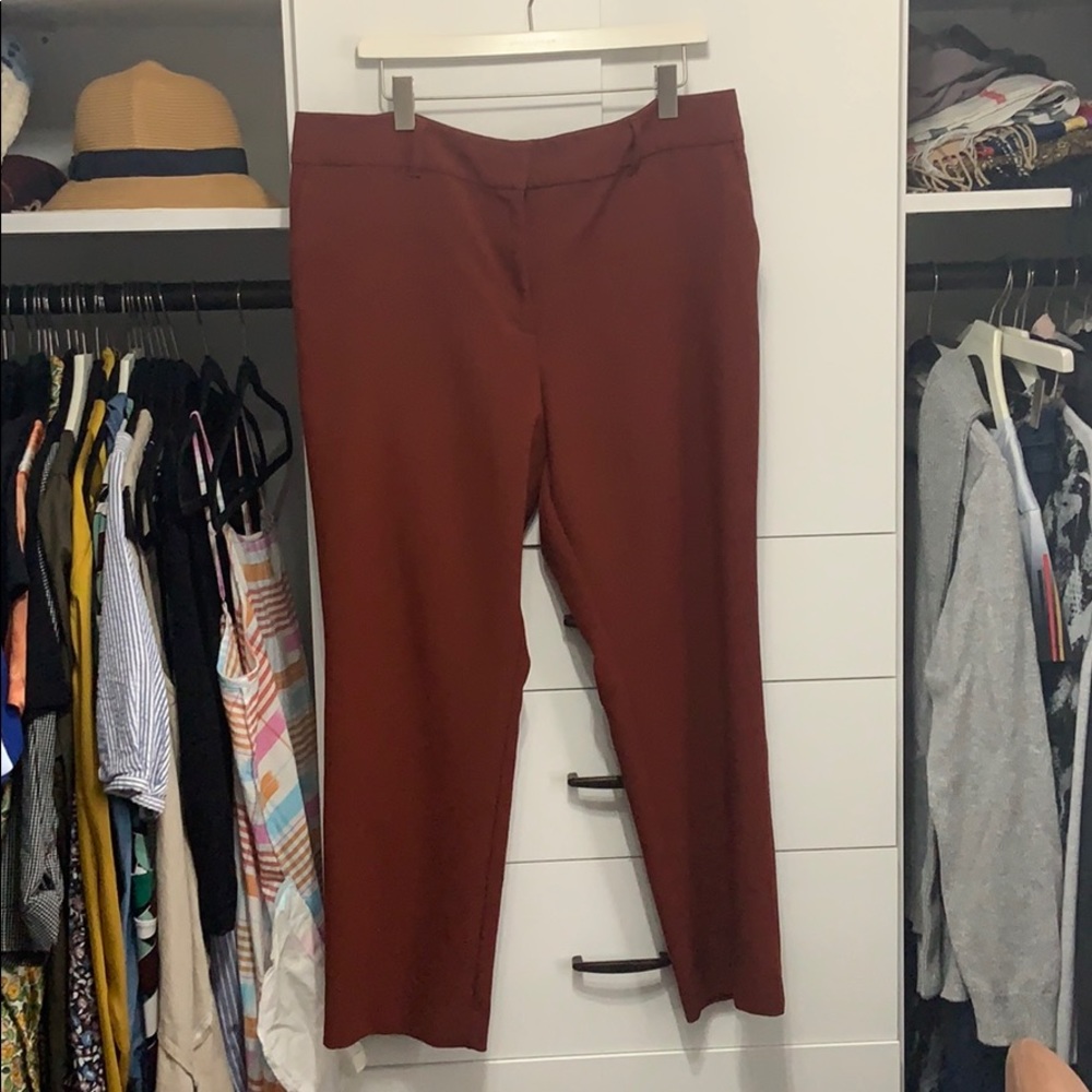 Ann Taylor Factory Modern Fit Pants